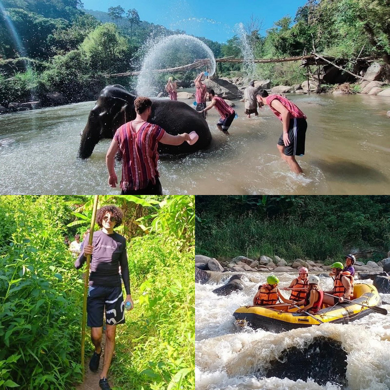 Elephant Care + Trekking + White water rafting