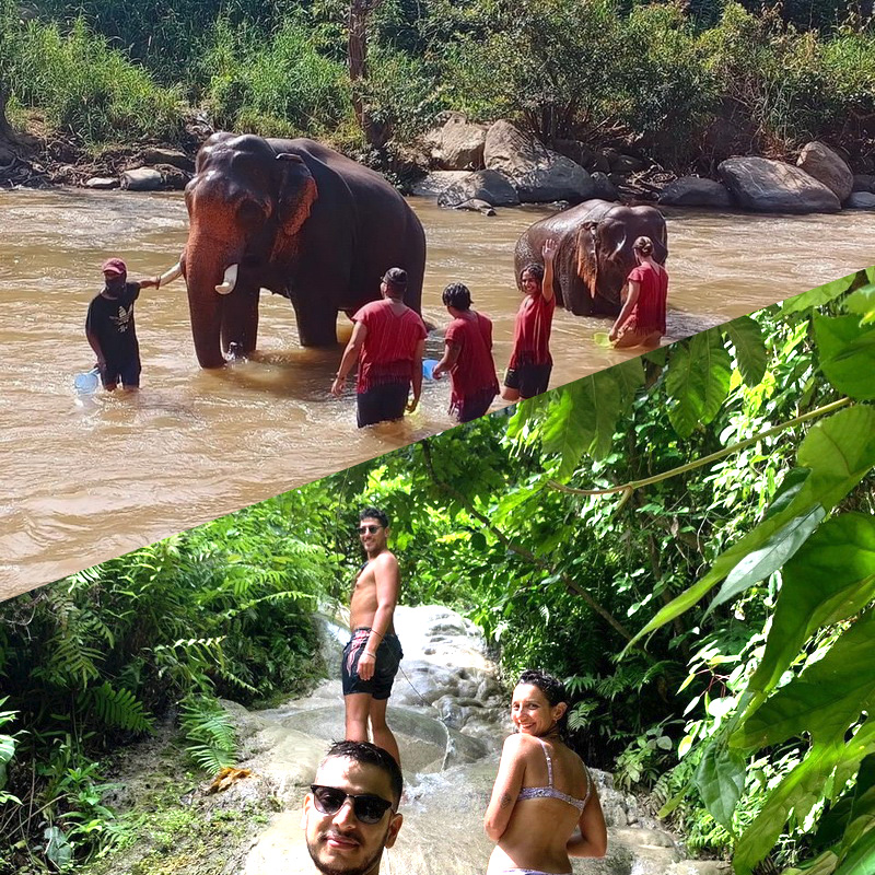 Elephant Care + Sticky Waterfall